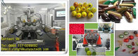 الآلات الصيدلانية الكهربائية للأغذية / كبسولات الكبسولات الطرية ماكينة