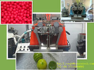 20 kw ماكينات صيدلانية لصانع الكبسولات اللينة / تزييت الزيت الجزئي