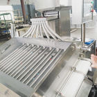 خط إنتاج كرات الطلاء اللينة نوع اللفة SUS304 / 316L ضمان لمدة سنة واحدة