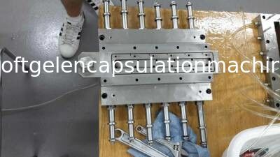 أجزاء آلة تعبئة الكبسولة Ss Fill Material Injection Plungers Pump Softgel Encapsulation