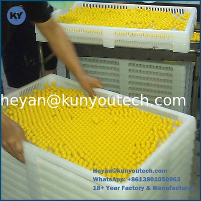 0.5KW آلة فرز كرات الطلاء