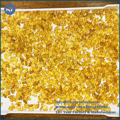 صواني تجفيف بلاستيك PPE ذات سطح أملس متين درجة طعام 75 * 55 * 5 سم