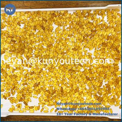 علبة التجفيف البلاستيكية ذات القاع المسطح 758x608x40mm للمواد PP/ABS لتجفيف الكبسولة