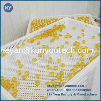 علبة التجفيف البلاستيكية من PP ABS ذات الجودة الغذائية 758x608x40mm