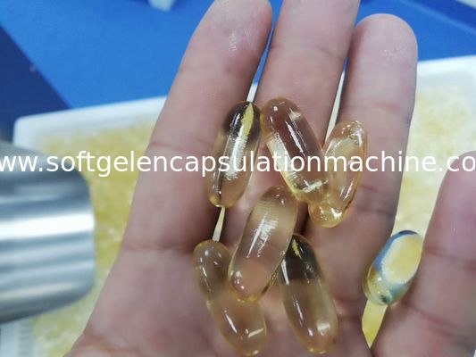 آلة تغليف الجيلاتين الناعمة بزيت القنب للمؤسسات الصيدلانية