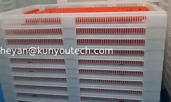 صواني بلاستيكية قابلة للتكديس بدرجة الطعام الأبيض / صينية تبريد 762 * 495 * 55 مم