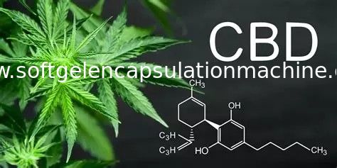 استخدام معمل آلة تغليف الكبسولات الطرية الأوتوماتيكية لملء زيت CBD سوق الولايات المتحدة الأمريكية