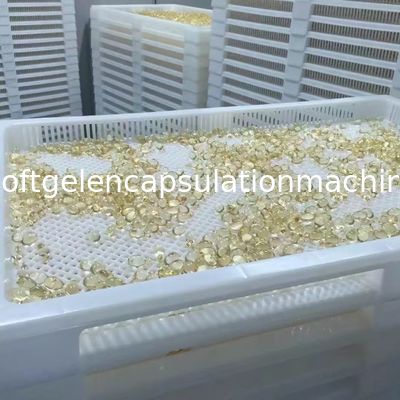 صواني تجفيف بلاستيكية ISO9001 PPE 75 * 55 * 5 سم