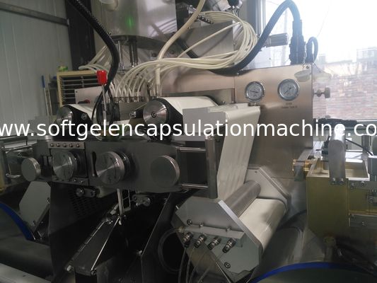 آلة تصنيع كبسولات التحكم PLC الدوائية ضمان لمدة سنة واحدة