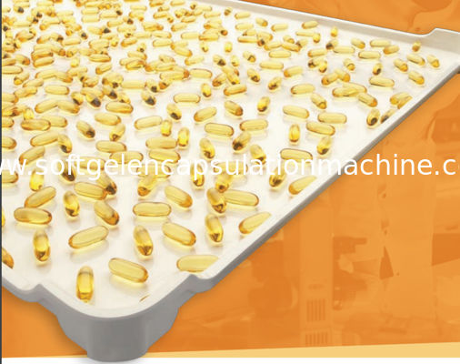 زيت السلمون Cbd Oil Soft كبسولة ماكينة التحكم الآلي