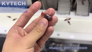 آلة تغليف الكبسولات الطرية المؤازرة على شكل سمكة